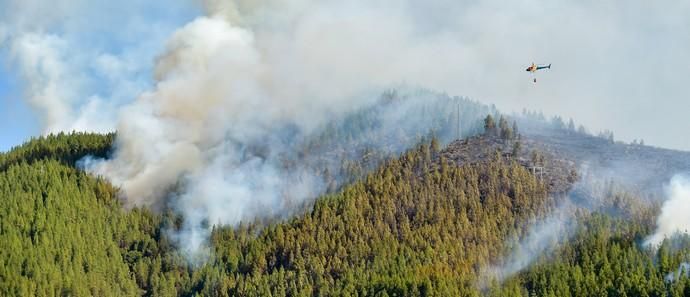 10-08-2019 ARTENARA. Incendio en la cumbre de Gran Canaria  | 10/08/2019 | Fotógrafo: Andrés Cruz