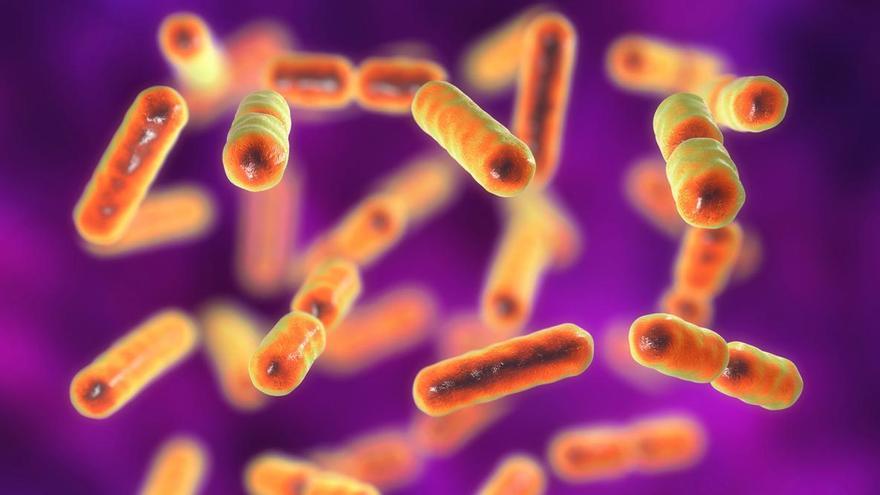 Investigadores de Barcelona &quot;tunean&quot; bacterias para convertirlas en fármacos