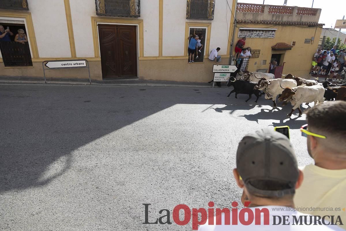 Cuarto encierro en las Fiestas de Moratalla