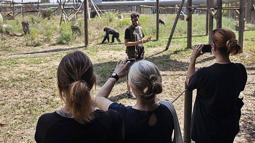 Tres dones fotografiant primats durant la visita guiada a la seu de la Fundació Mona, a Riudellots de la Selva, on hi ha el centre de recuperació dels animals. DAVID APARICIO 