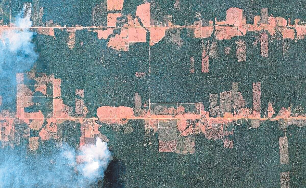 Selva amazònica en procés de desforestació, vista des de l’espai.