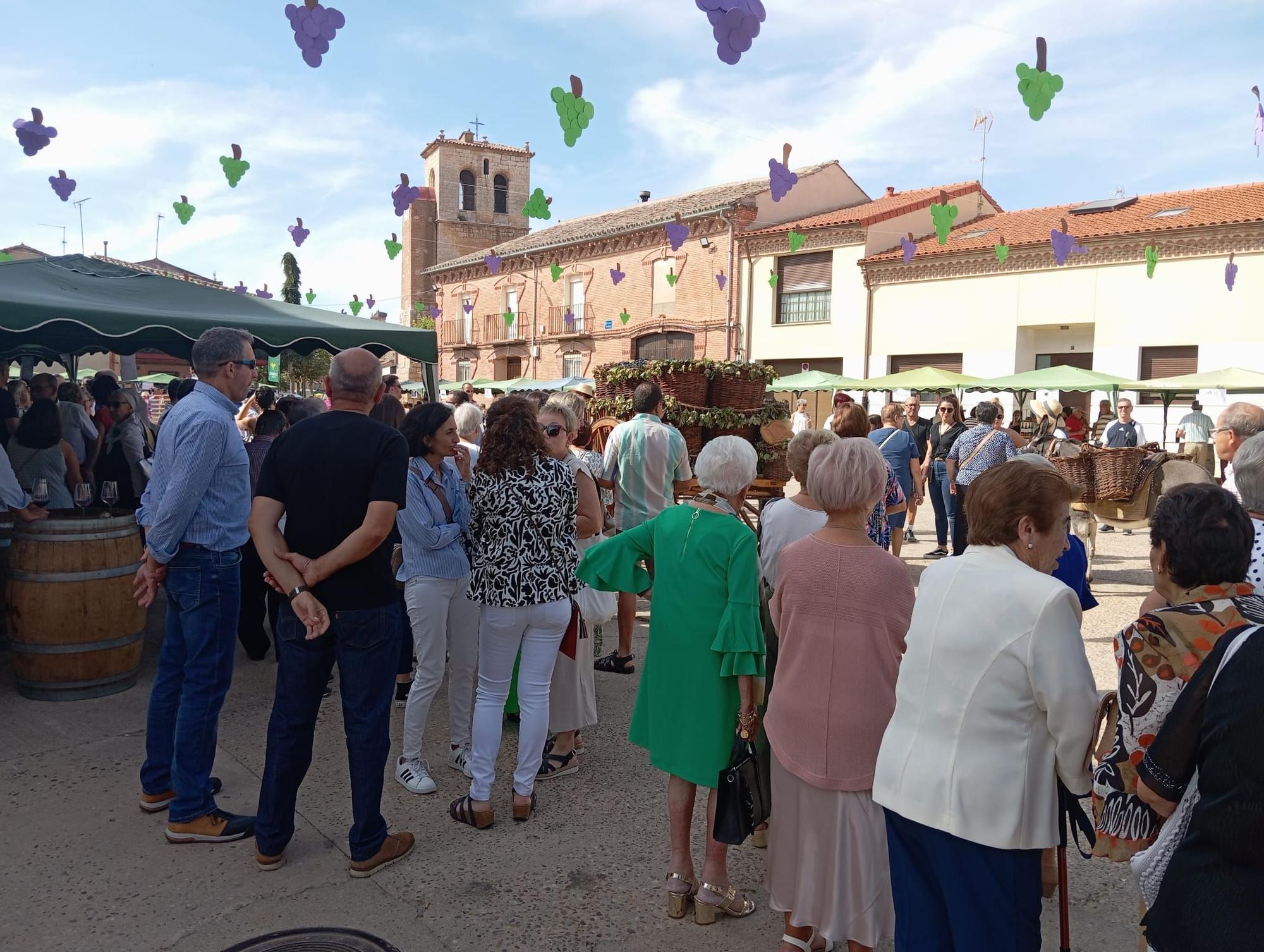 GALERÍA | Revive la Fiesta de la Vendimia de Morales de Toro