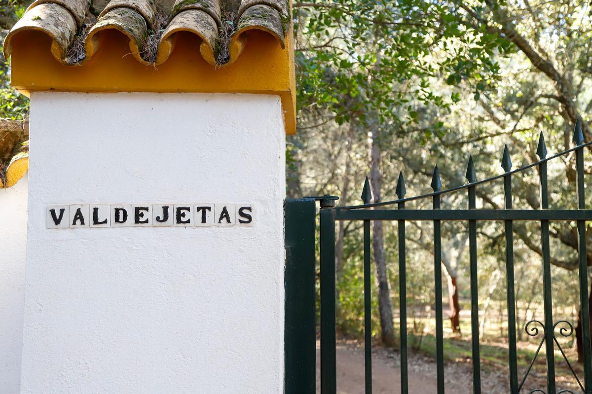 Senderos a Fondo. Ruta 9 (Circular de Trassierra). Castañar de Lo Prado, Castañar de Valdejetas