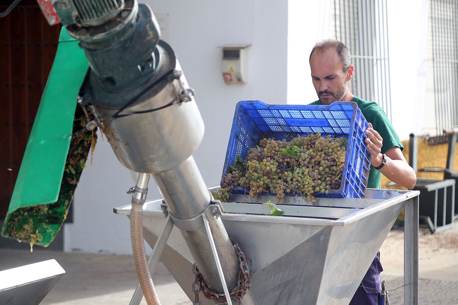 La pasera más grande del mundo está en Montilla