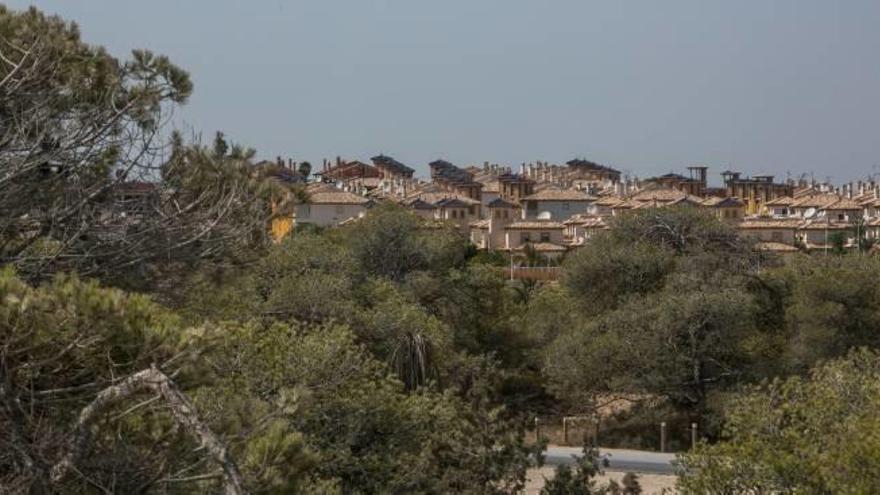 Viviendas junto a una zona de pinada de la playa de La Marina, próxima al término municipal de Guardamar, un lugar de gran afluencia de turistas en verano.