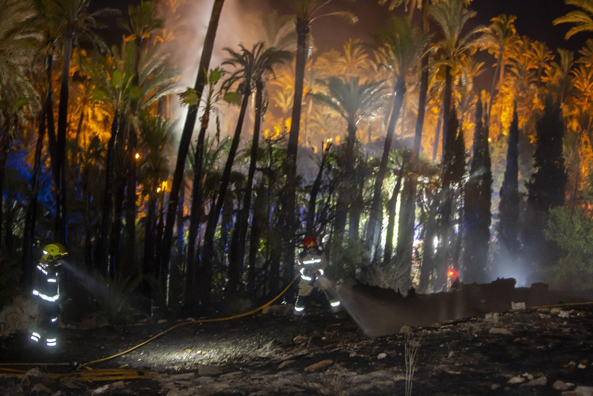 Así ha sido el fuego junto a El Palmeral de Alicante