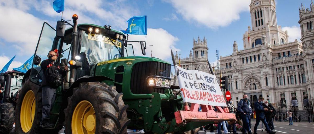 Uno de los tractores asturianos que se desplazaron el domingo a Madrid. Uno de los tractores asturianos que se desplazaron el domingo a Madrid.