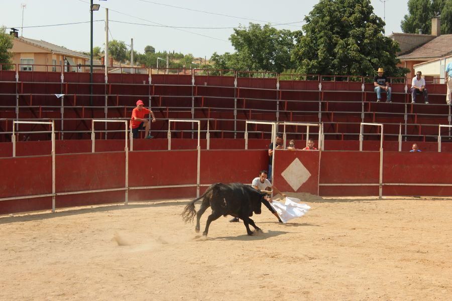 Fiestas en Zamora: Villamor de los Escuderos