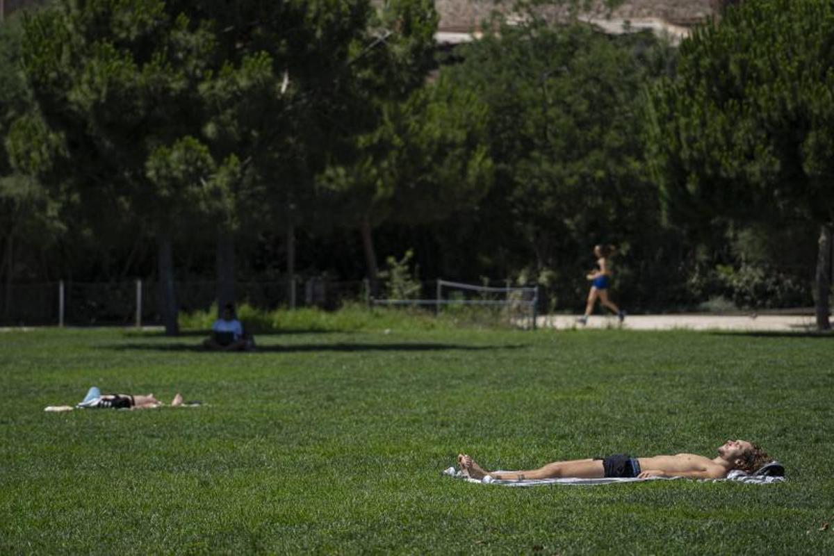 Expats y turistas toman el sol en parques urbanos