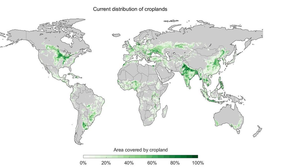 Ubicación actual de los cultivos mundiales