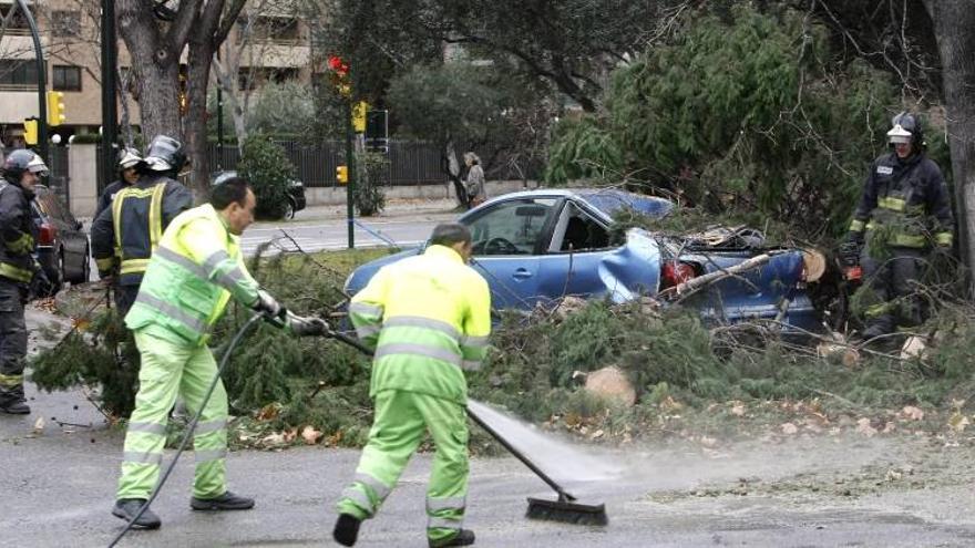 El temporal ocasiona 28 incidencias en una hora en Zaragoza, sin heridos