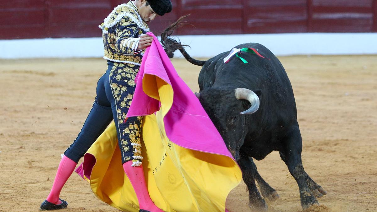 Manzanares, con el capote, este domingo en Olivenza.