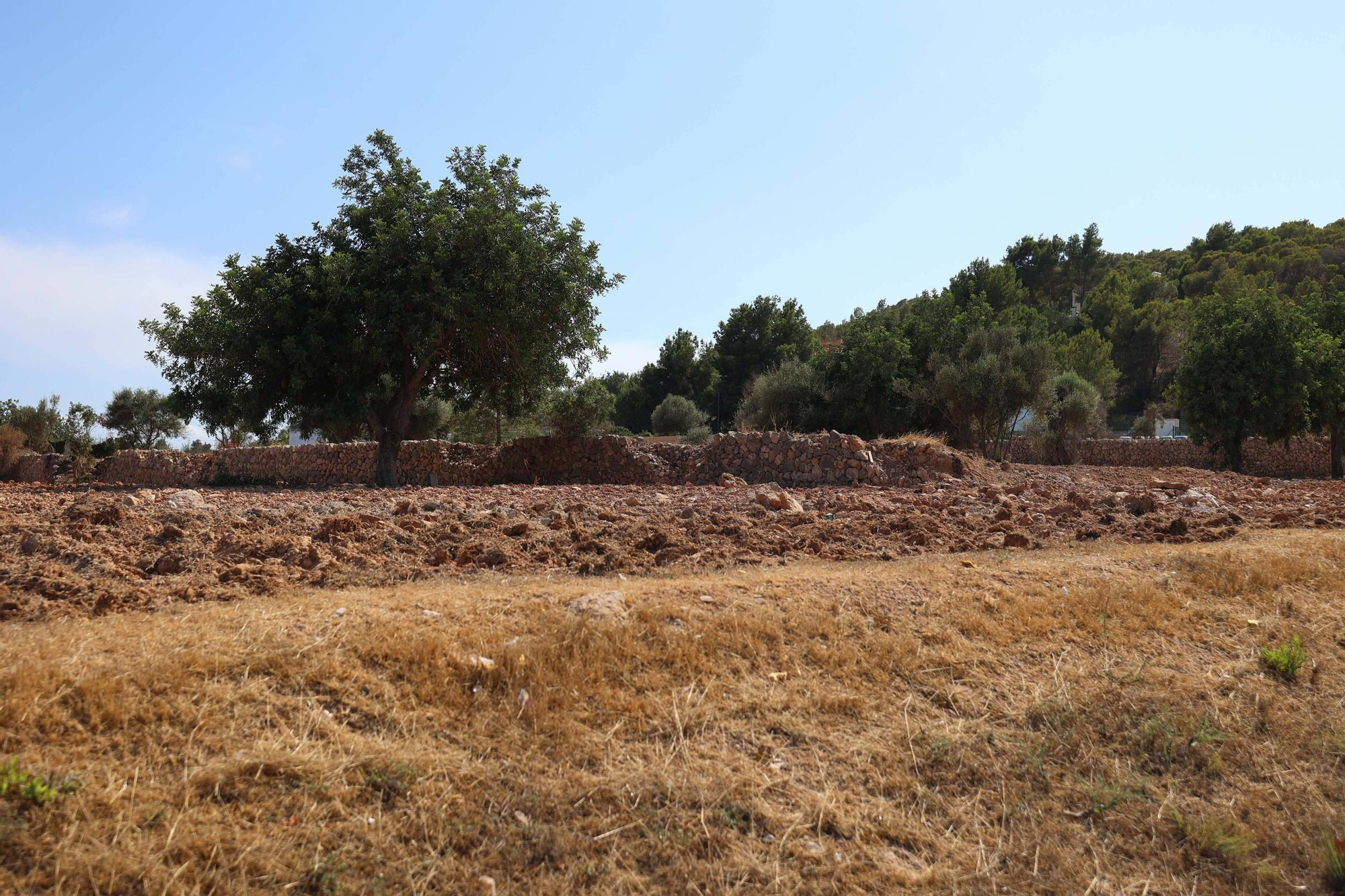 Galería: terreno de Can Rova II completamente despejado por el Ayuntamiento
