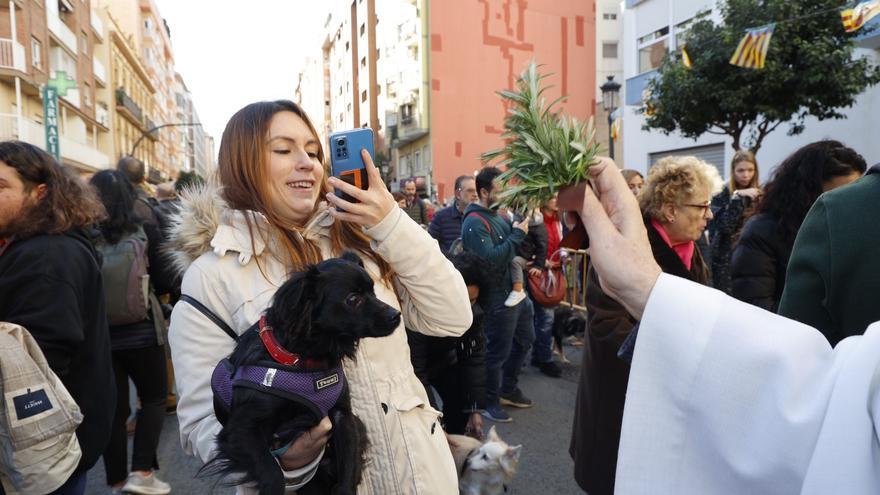 La gran fiesta de los animales llega a València