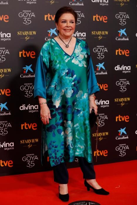 GALA DE LA 35 EDICIÓN DE LOS PREMIOS GOYA