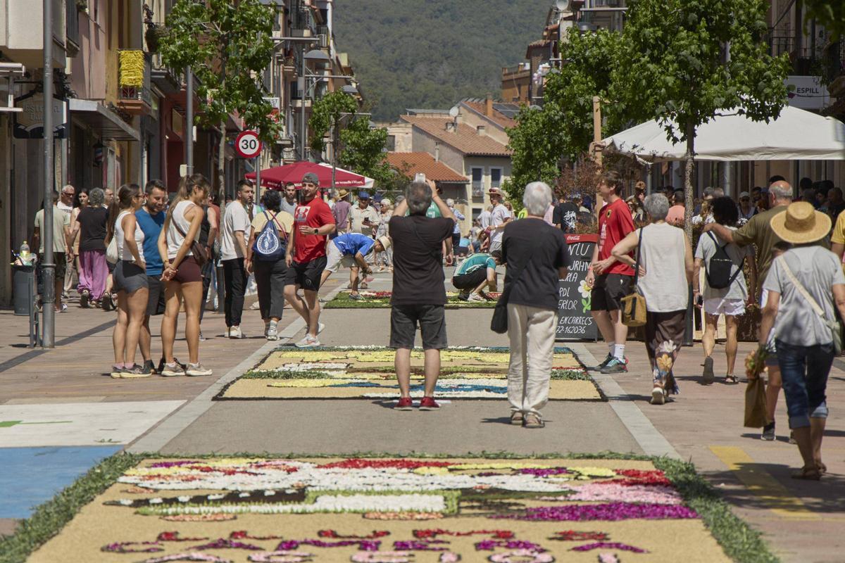 Les catifes d'Arbúcies en imatges