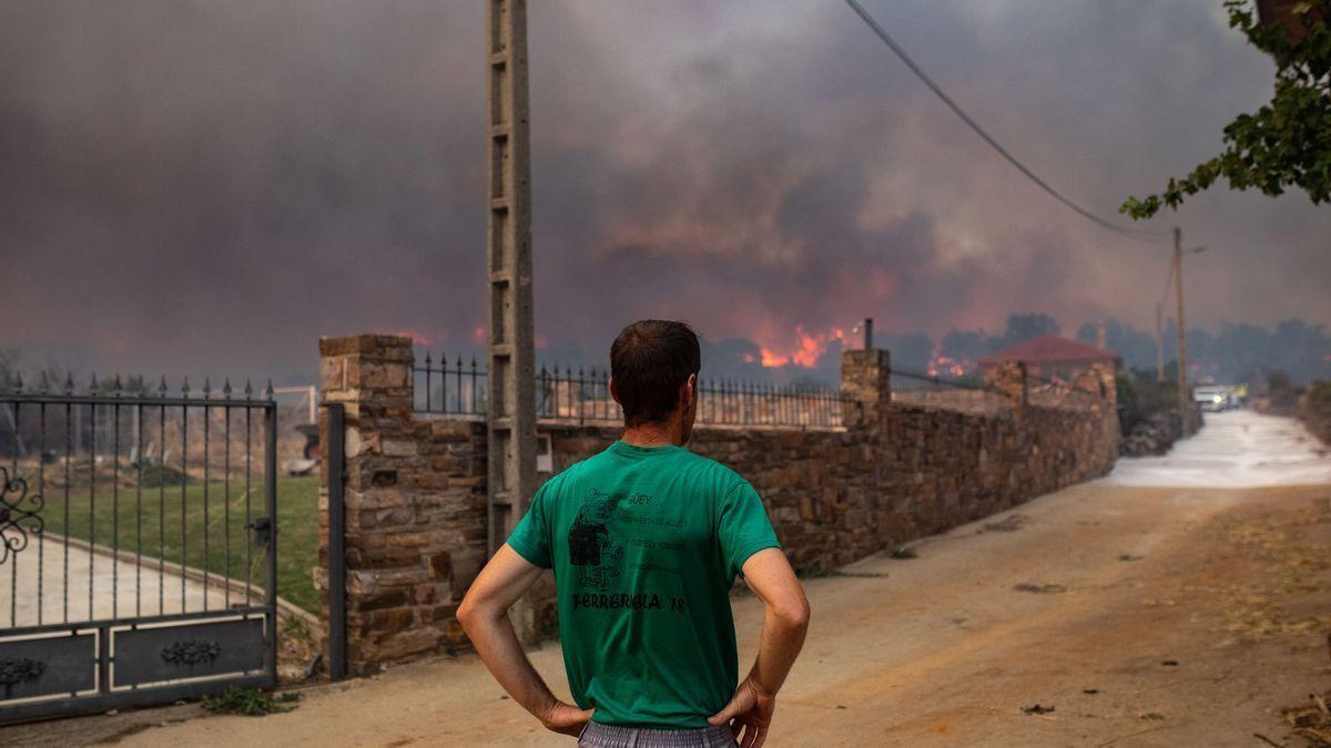 El feroz incendio de Losacio, en imágenes.