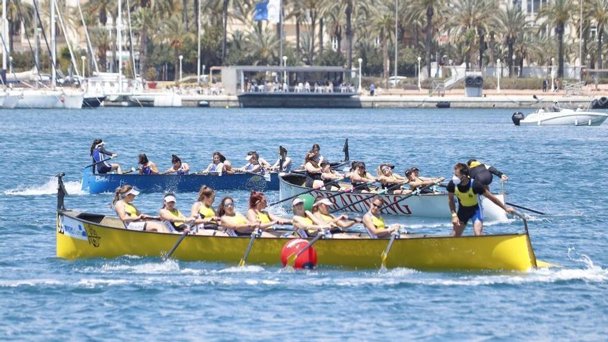 Alicante, epicentro del remo con la disputa de la VII Regata de la Liga SUMA