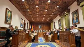 La situación irregular del servicio de parques y jardines obliga al Ayuntamiento de Telde a aprobar 1,5 millones de euros de facturas sin cobertura legal