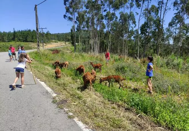 El Laboratorio Ecosocial recibe dos millones para su proyecto de gestión sostenible del monte en el Barbanza