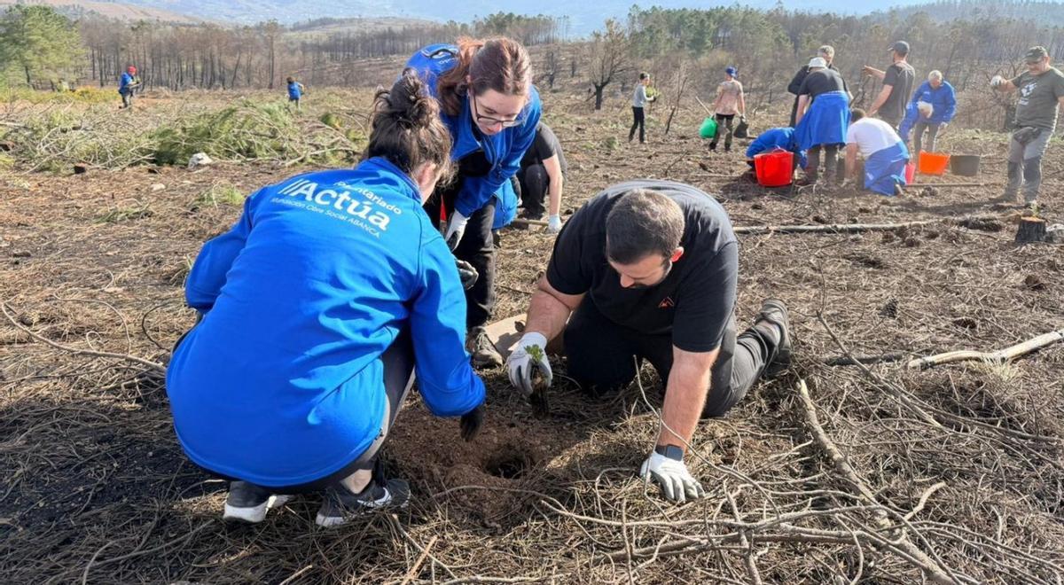 Voluntarios en la acción de reforestación de este sábado en Larouco. | CEDIDA