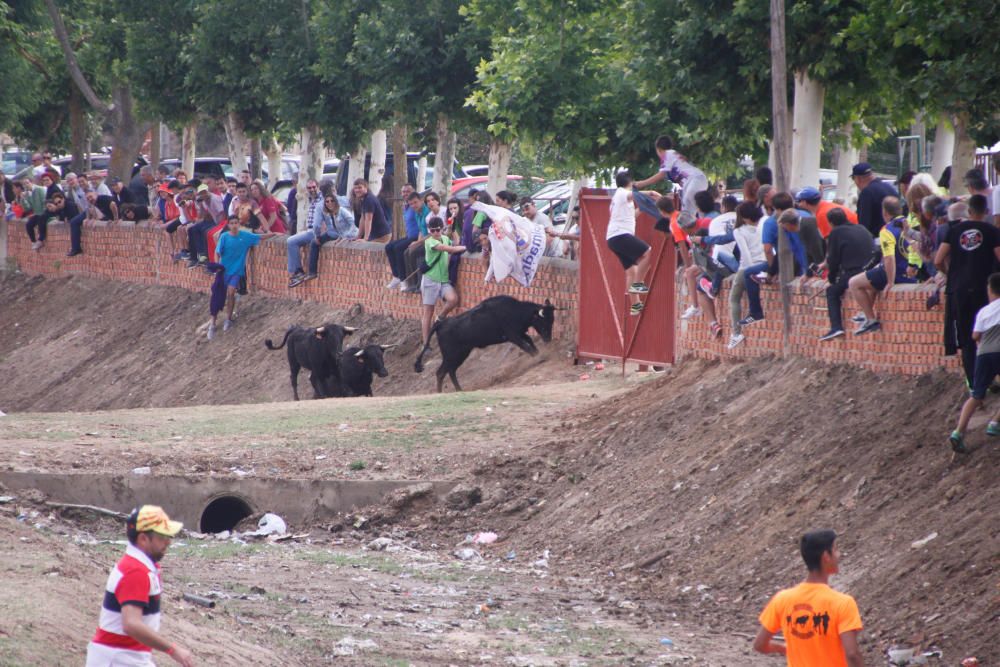 Espante infantil de Fuentesaúco