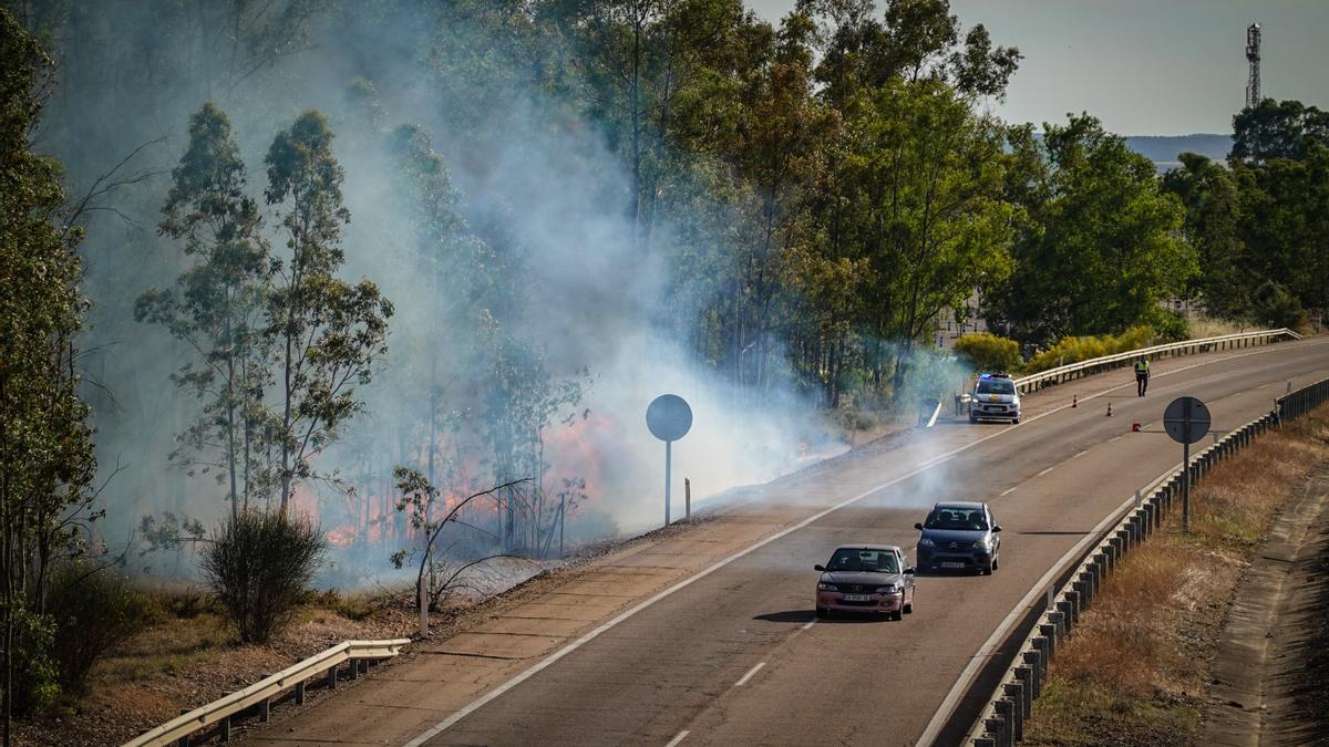 Incendio de un bosque de eucaliptos entre la Academia de Seguridad y la A6.