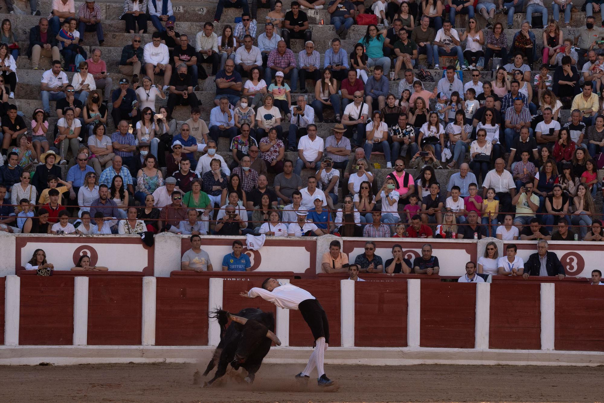 GALERÍA | El Concurso de Recortes, en imágenes