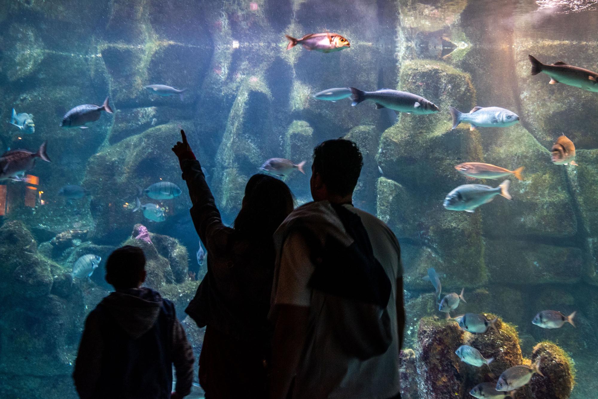 Día de los Museos en A Coruña