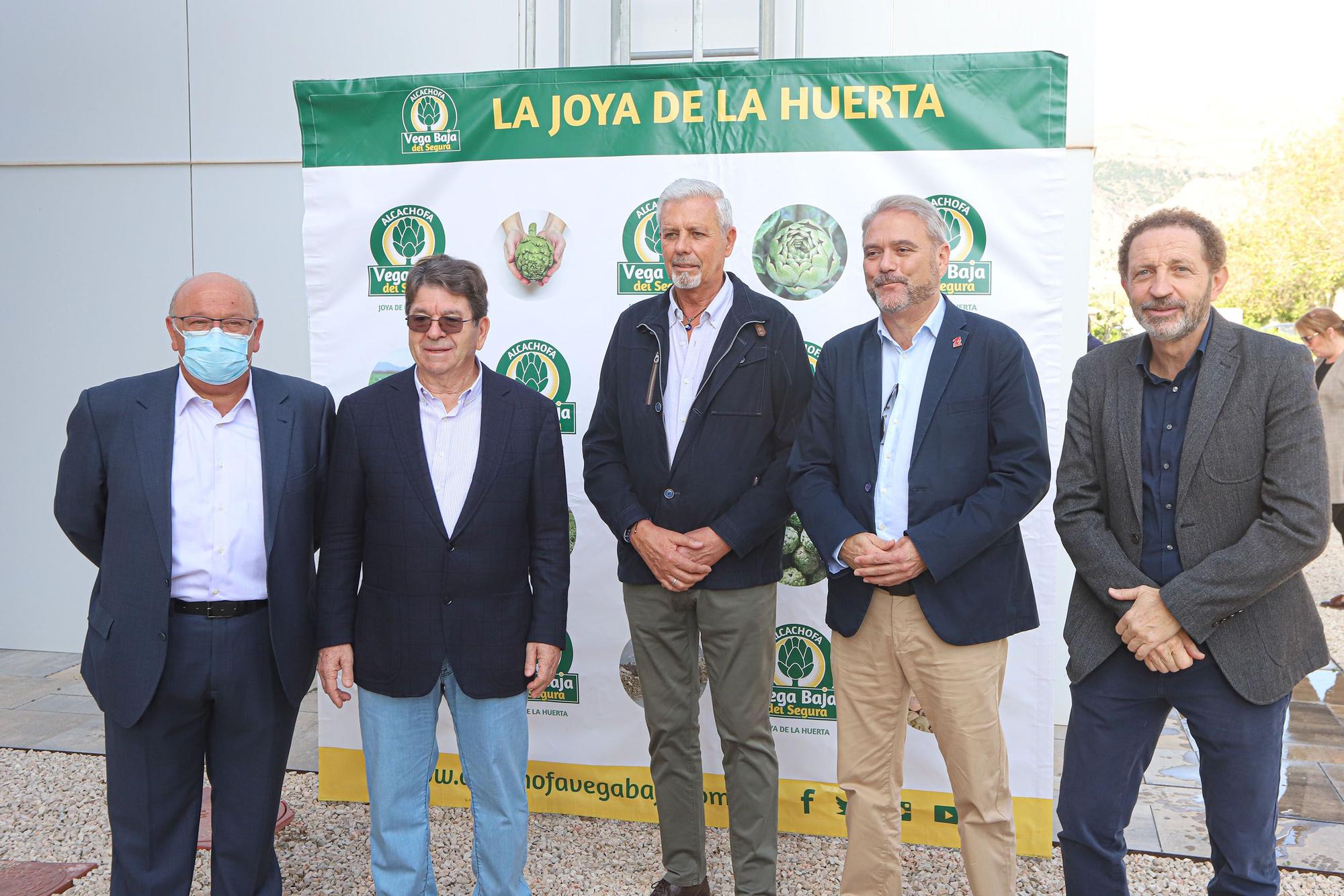 Primer corte de la temporada de alcachofas en la EPSO