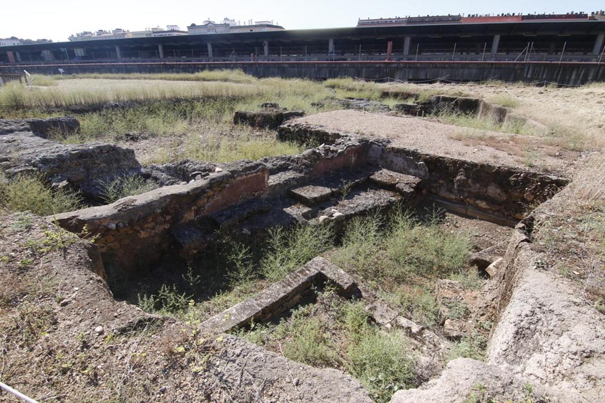 Urbanismo y Sadeco inician la limpieza del yacimiento de Cercadilla Urbanismo y Sadeco inician la limpieza del yacimiento de Cercadilla