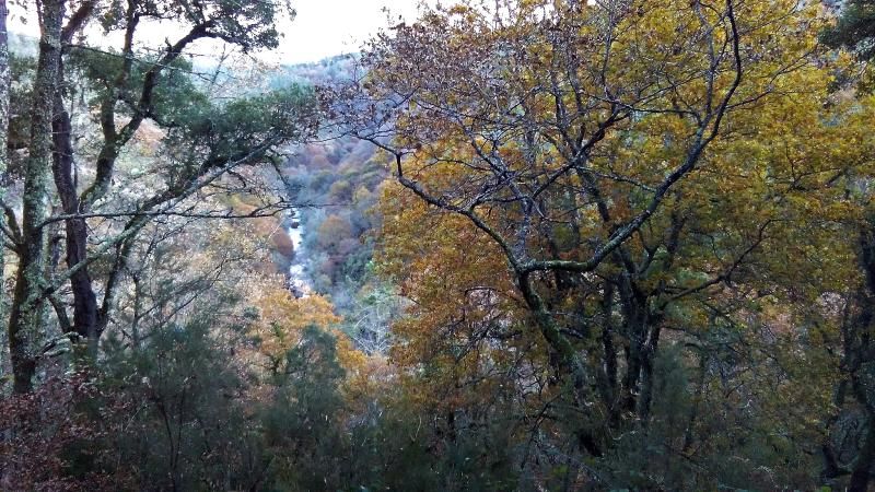 Vista do Sobreiral do Arnego, atravesado polo río que lle dá nome
