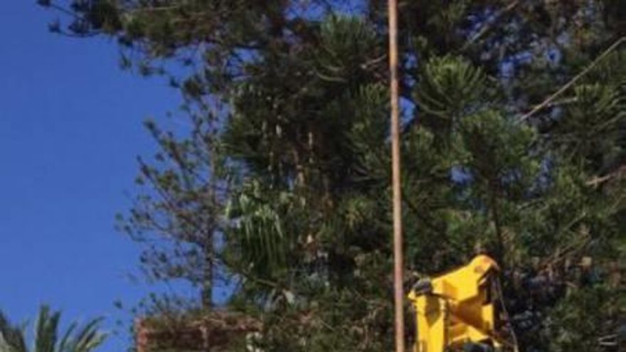 Nuevas catas en la plaza del Lago para plantear los cimientos de su reforma