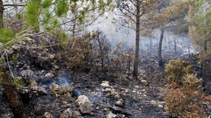 El incendio de Ibiza sigue sin control aunque se estabiliza