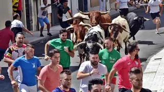 Un herido grave por asta de toro en los encierros de Moraleja