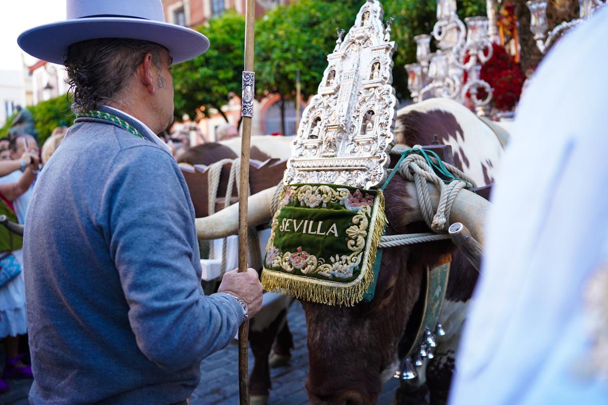 La salida de las hermandades del Rocío de Sevilla, en imágenes