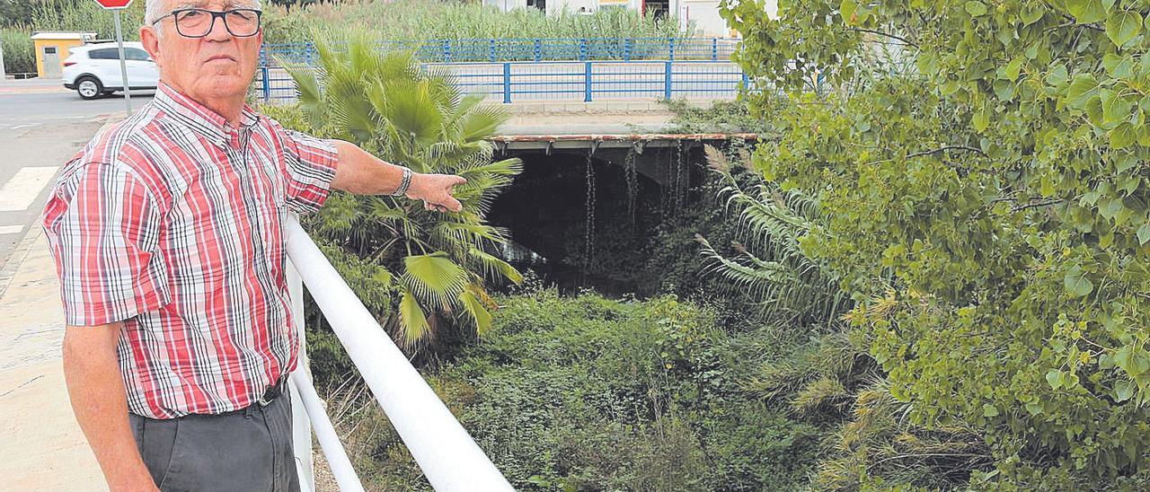 Vicente Carbonell es un vecino que denuncia que el puente de Montero está invadido por los arbustos y la maleza.