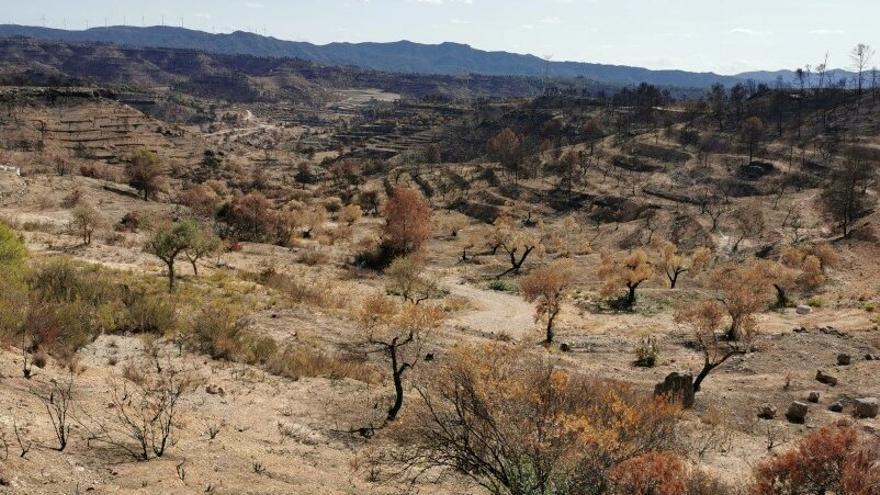 El Bages, l&#039;Anoia i el Solsonès, en alerta per alt risc d&#039;incendi forestal