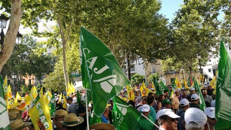 Manifestación de los agricultores en Sevilla.