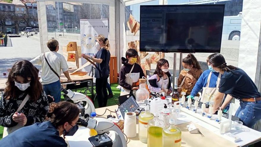 Alumnos del CEIP Frian de Teis en un taller de química.   | // L.C.