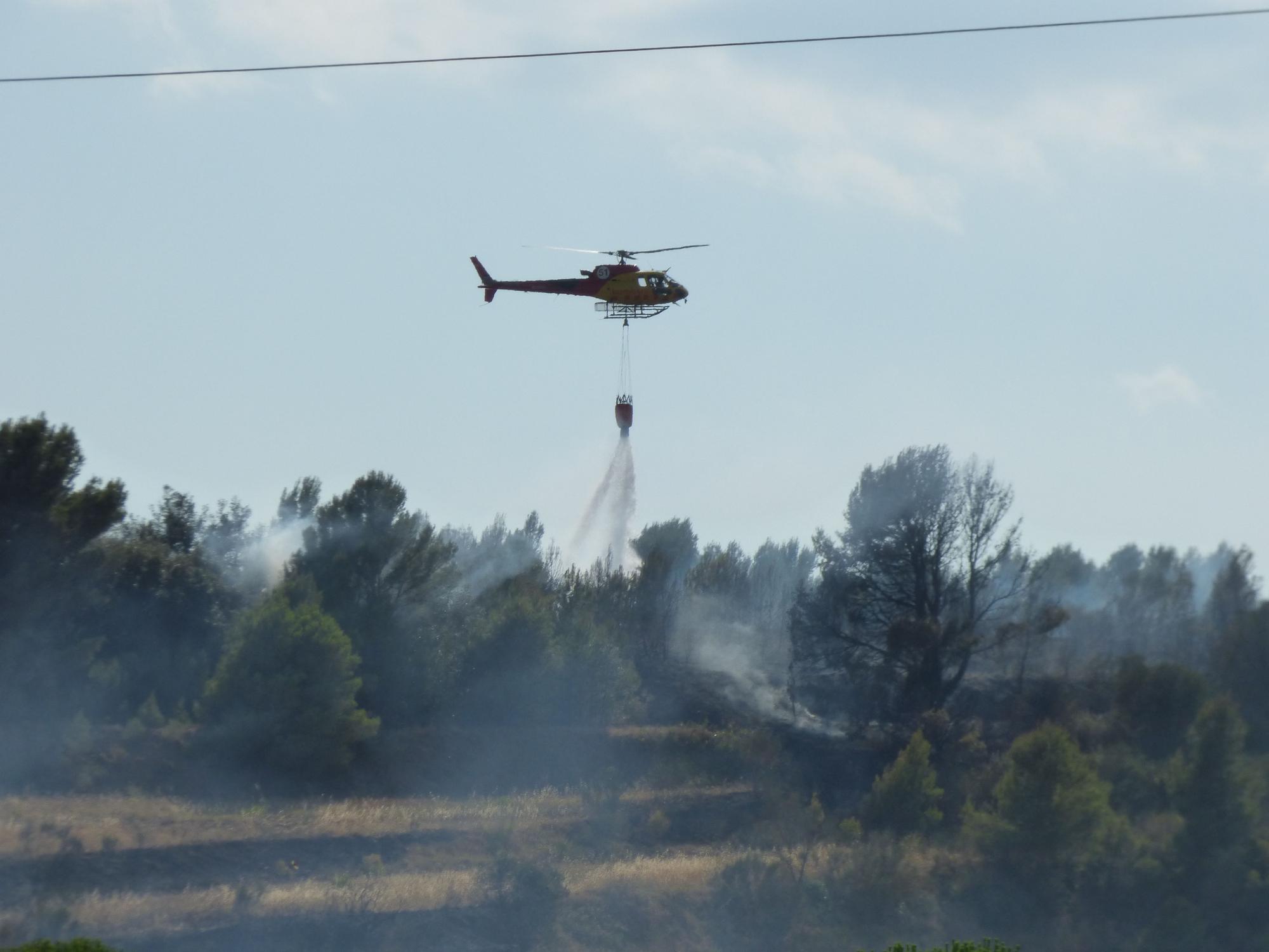 Un incendi ha cremat 3,5 hectàrees al costat de l'Ap7 a Vilafant