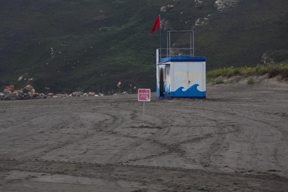 Los perros pueden acceder al playón de Bayas