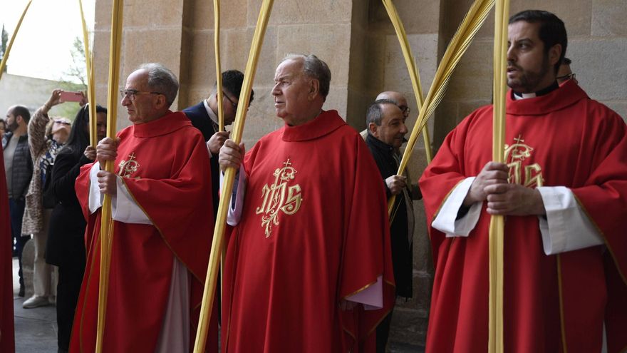 Bendición de palmas y procesión de San Ildefonso a la Catedral de Zamora