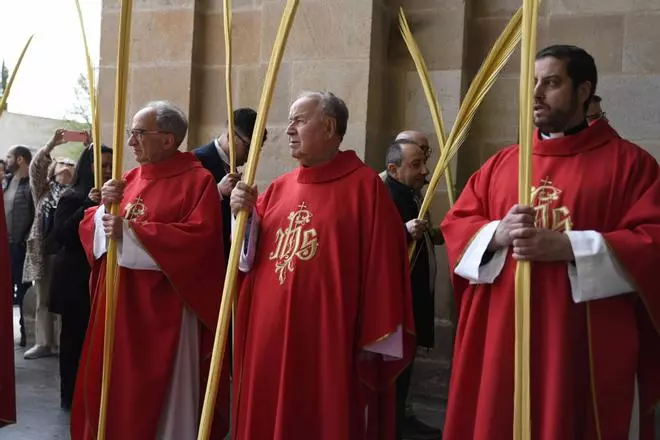 Bendición de palmas y procesión de San Ildefonso a la Catedral de Zamora