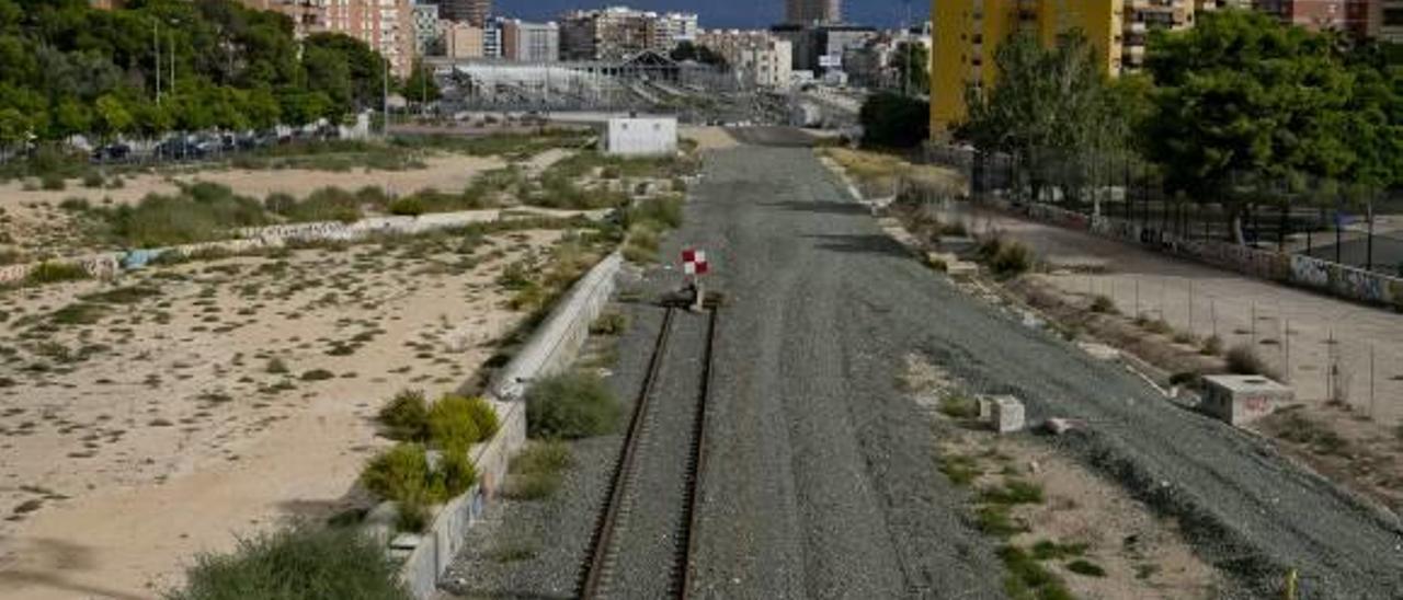 Parque central, ni está ni se le espera