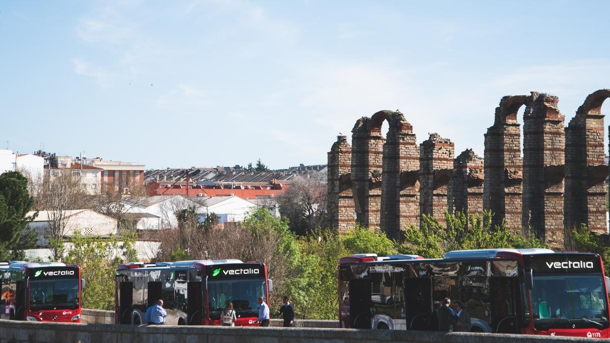 Los cuatro nuevos autobuses que se incorporarán a la flota de transporte público.