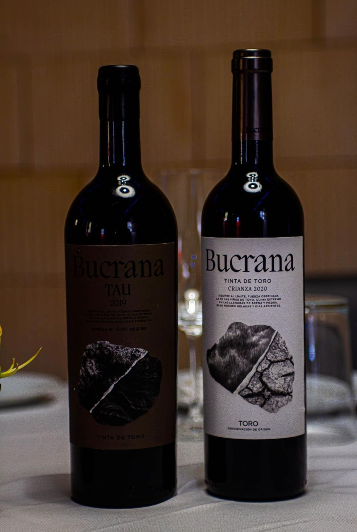 Bucrana, la nueva bodega D.O. Toro del Grupo Bornos Vinos & Licores presenta sus vinos Crianza 2021 y Tau 2019.