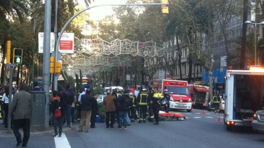 Dos heridas al caer una palmera en la Diagonal de Barcelona