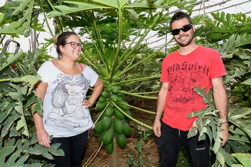 Dos jóvenes agricultores que cultivan, procesan y