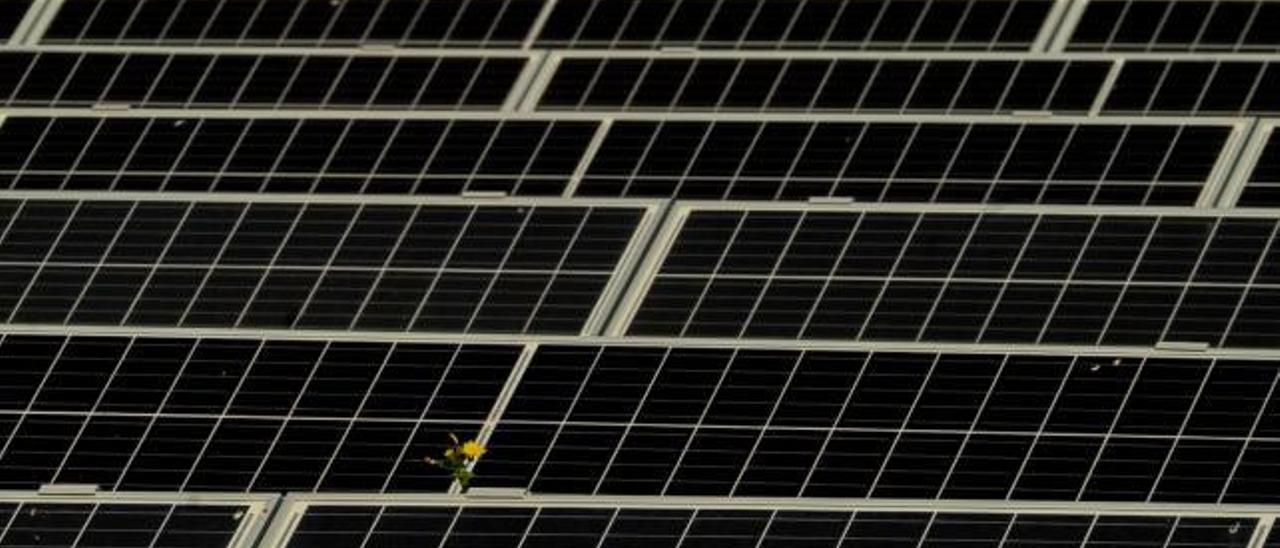 Espectacular instalación de placas solares sobre el gigantesco techo de la depuradora de Treviscoso